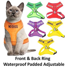 Dexil Colour Coded Cat Harness Warning Alert Vest Padded and Water Resistant Red CAUTION (S-M)