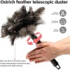 Retractable Feather Duster Ostrich Feathers Anti-Static Reusable Eco-Friendly Handheld Cleaning