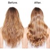 L'Oréal Professionnel Paris Champú Neutralizador Para pelo gris, blanco o
