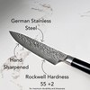 Swiss Diamond Chef & Paring Knife, German Steel With ABS