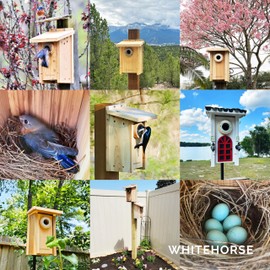 WHITEHORSE Bird House with Pole and 8" Baffle - A Bluebird House Built to NABS Specs - Nestbox for Various Songbird Species - Bluebird Box House - Weatherproof Bird Houses for Outdoors (15” Floor)
