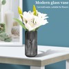TEUYOE Glass Vases (Grey, Height 20 cm)