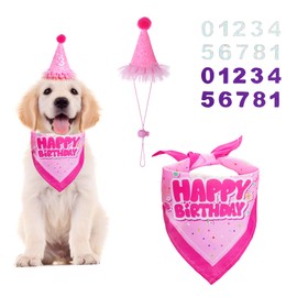 Pistha Dog Birthday Bandana Scarf and Hat with Number for Dog Birthday Party (Pink)