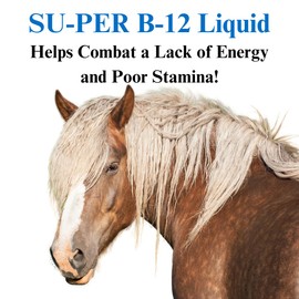 SU-PER B-12 Energy Horse Supplement - Equine Vitamins B-12 & B-9 Folic Acid Support Liquid - Red Blood Cell Production & Stamina Support for Peak Performance - Gallon, 4 Month Supply (120 Days)