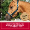 Weaver Leather Basic Adjustable Nylon Halter, Black, 1" Large Horse