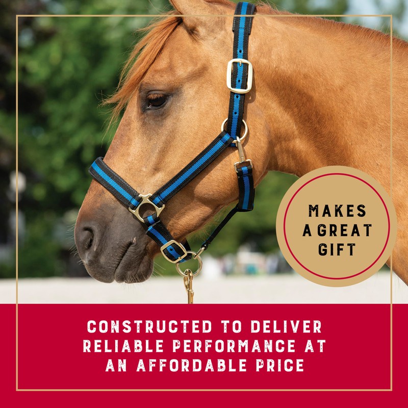 Weaver Leather Basic Adjustable Nylon Halter, Black, 1" Large Horse