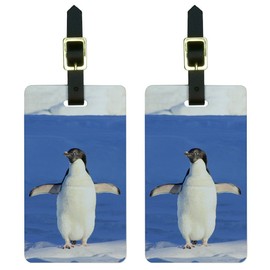 Penguin - Funny Bird Luggage Tags Suitcase Carry-On ID Set of 2