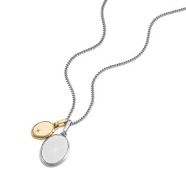 Collar Fossil JF04850998 Drew de acero inoxidable en tono dorado y plateado para caballero