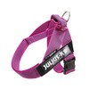 Julius-K9, IDC Color & Gray Belt Harness, Size: M / 0, Pink-Gray