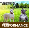 VITOFARMA Predator Muscle Builder Chewable Tablets for Dogs - Canine