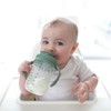Dr. Brown's Milestones, Baby's First Straw Cup Sippy Cup with