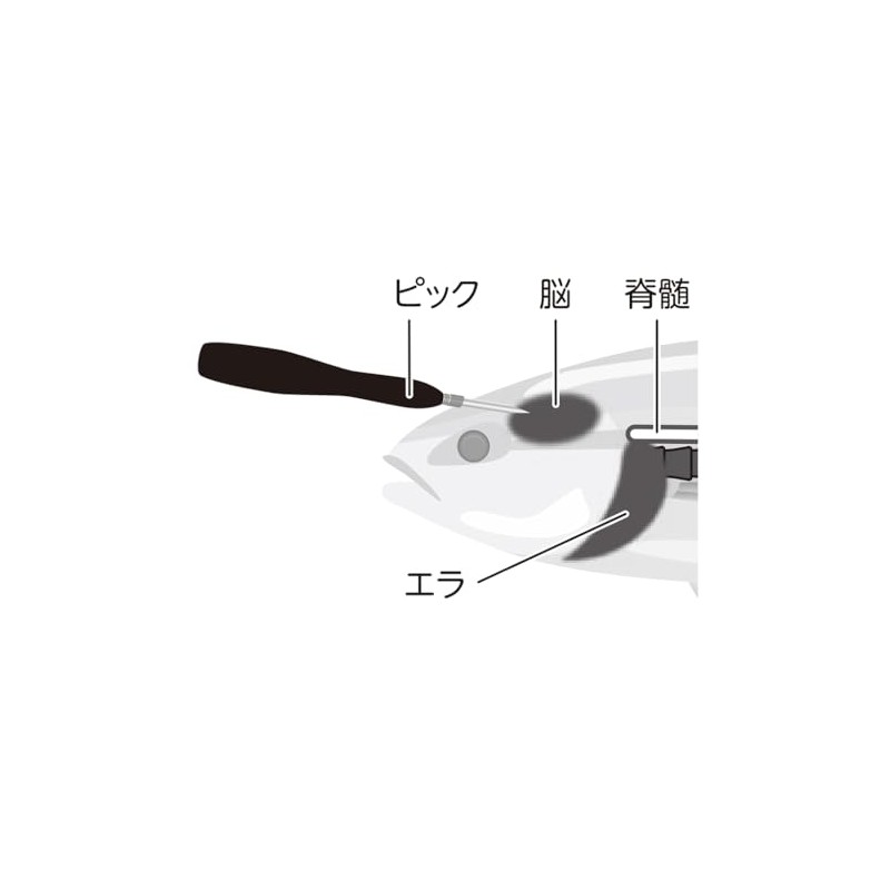 belmont（ベルモント） MP-219 活け締めピック ショート 日本製 燕三条