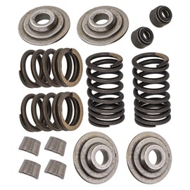 NICHE Cylinder Head Valve Spring Rebuild Kit for Yamaha Moto-4 200 Tri Moto 225 Timberwolf Bruin 250 Pro Hauler 1000