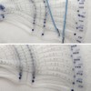 Itisyou Eyebrow Template Eyebrow Template Eyebrow Shaping Tool Eyebrow Template