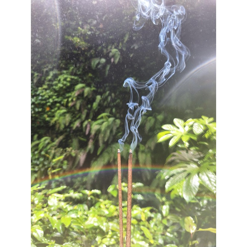 I-SHI-KI BALI Incense, Cobumikan Orange (Sacred Mikan), Natural Herbal Incense,