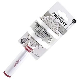 Franck Provost Pneumatikbürste für unterwegs