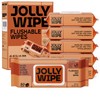 JOLLY WIPE Wet Wipes Flushable, Extra-Large Flushable Wipes for Adults,