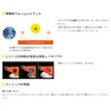 Yamaria YAMASHITA NAORY Range B (BASIC) No. 1.8 Z017 Gunkan