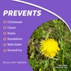 Bonide Chickweed, Clover and Oxalis Killer, 16 oz Concentrate, Controls