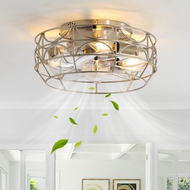 Brushed Nickel Caged Ceiling Fans with Lights and Remote,6 Speeds,12 inch Industrial Flush Mount Ceiling Fan with Light, Modern Bladeless Fan Lights Ceiling Fixtures for Kitchen, Bedroom,Indoor