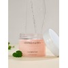 Andial [Set of 2] Centella in Cica Calming Pads 70