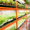 Full Spectrum LED Plant Growth Light Board Supplement Light for