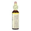 Bach Flowers Suplemento Avena Silvestre Sabor