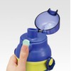 Skater PSB5SANAG-A Water Bottle, 16.9 fl oz (480 ml), Splatoon