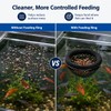 2 PCS Floating Betta Hammock, Shrimp Feeder, Small Fish Feeding
