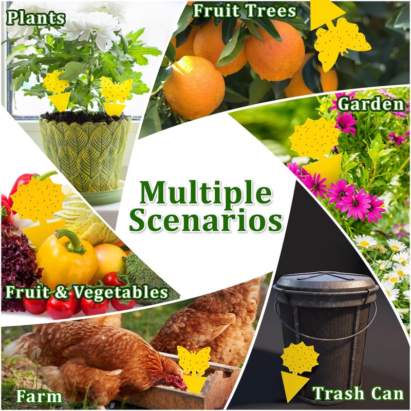 Fruit Fly Traps Indoor Fungus Gnat Trap 48PCS for Plants