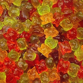 Sugar-Free Gummi Bears | 1 Pound Pack | 3D Chewy Gummy Candy | Assorted Fruit Flavors