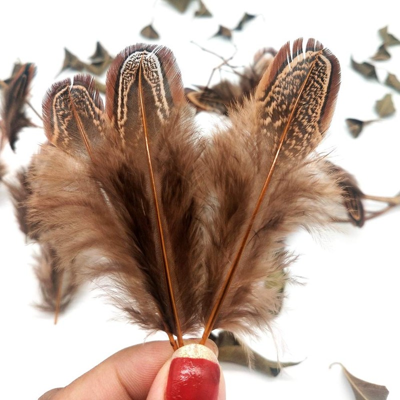 100pcs Brown Pheasant Feathers 2-3 Inches Fluffy Spotted Plumage Feather