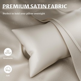 Satin Silk Pillowcase for Hair and Skin, Queen Size Pillow Cases Set of 2, Super Soft Pillow Case with Envelope Closure(20 * 30inch)