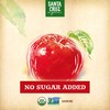 Santa Cruz Organic Apple Sauce, 6-4 Ounce Cups (Pack of
