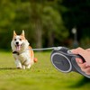 Edipets, Dog Lead, Extendable, Retractable, 3, 5 and 8 Metres,