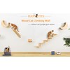 Cat Shelf for Wall Hammock Climbing Shelves and Perches Solid