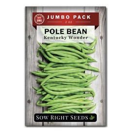 Sow Right Seeds - Bulk Kentucky Wonder Pole Bean Seeds for Planting - 2 Ounce, 170 Seeds - Non-GMO Heirloom Jumbo Pack with Instructions to Plant a Home Vegetable Garden - Bountiful Harvest of Beans