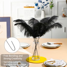 Ballinger Large Champagne Ostrich Feathers - 12pcs 16-18inch Feathers Making Kit Boho Feathers for Vase,Wedding Party Centerpieces and Home Decor