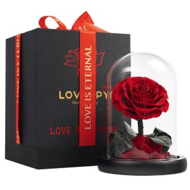 LOVAPPY Eternal Enchanted Forever Preserved Rose - Infinity Rose in Glass Dome - Made from Real Fresh Beauty Rose - Romantic Gifts for Female - Valentines Day - Gift for Mom (Red, 6.5 inch)