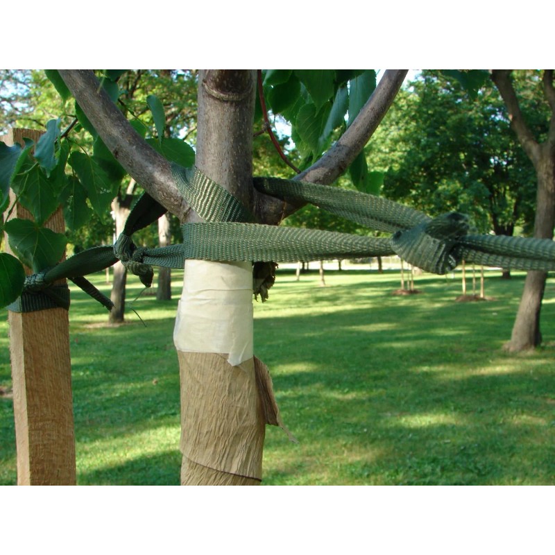 Kubinec 250' Tree Tie Strap Staking and Guying Material 2000