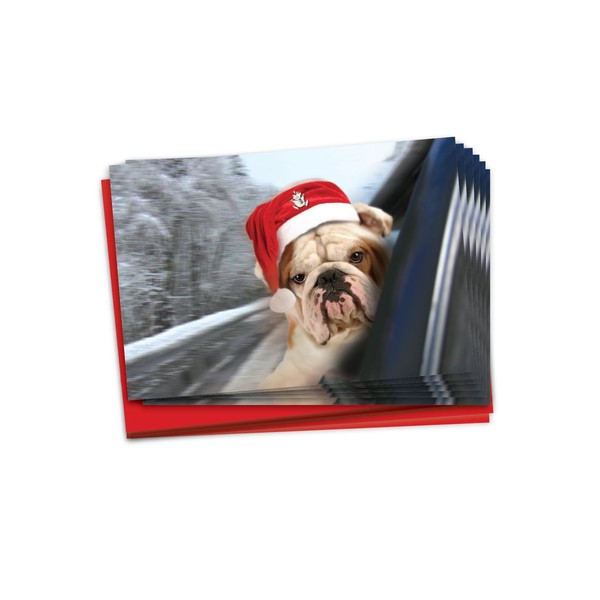 NobleWorks 36 Christmas Greeting Cards Boxed Set with 5 x