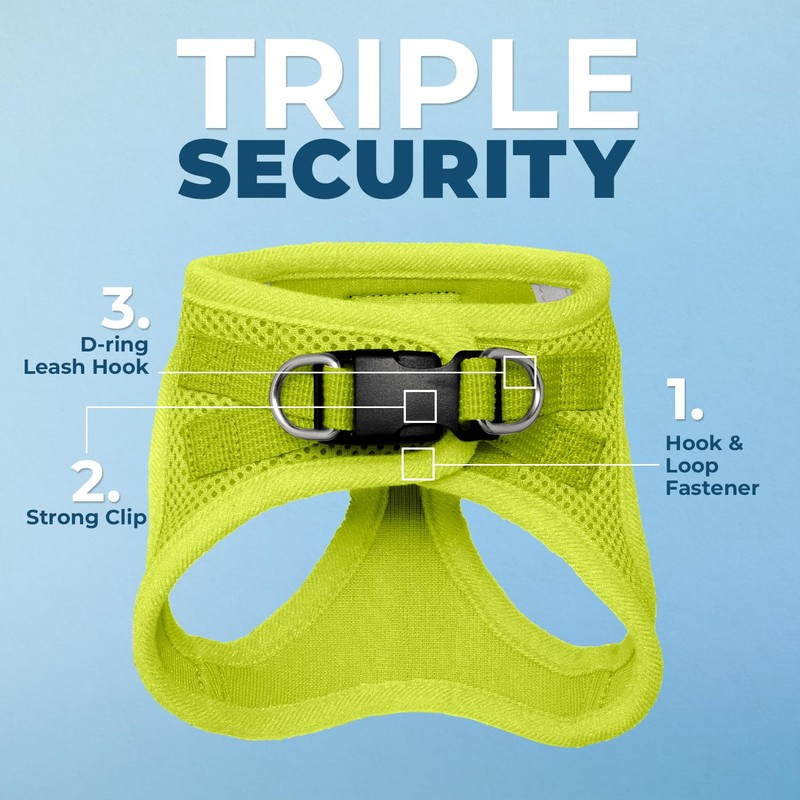 Voyager Step-in Air Cat Leash Harness Set - All Weather