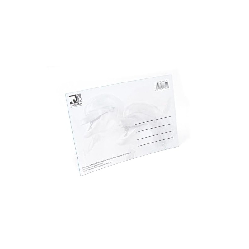3D Postcard of Dolphins PK19 Loose Card Holographic Dolphins Animals