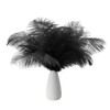 PATIKIL 8-10 Inch(20-25cm) Ostrich Feathers, 30 Pack Artificial Ostrich Feathers Natural Bulk for Wedding Party Centerpieces Decorations Crafts Black (5inch Width)