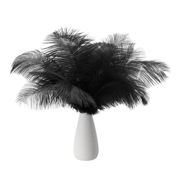 PATIKIL 8-10 Inch(20-25cm) Ostrich Feathers, 30 Pack Artificial Ostrich Feathers