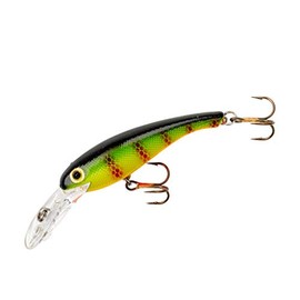 Cotton Cordell Wally Diver Walleye Crankbait Fishing Lure, Accessories for Freshwater Fishing, 2 1/2", 1/4 oz, Perch