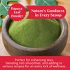 2.6oz Dried Papaya Leaves, 100% Natural Leaves, Papaya Leaf Tea,
