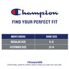 Champion Men's Double Dry Moisture Wicking Ankle Socks; 6, 8,