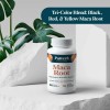 Pattern Wellness Maca 20:1 60 Cápsulas Vegano