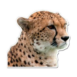 GT Graphics Cheetah - 5" Vinyl Sticker - for Car Laptop I-Pad - Waterproof Decal